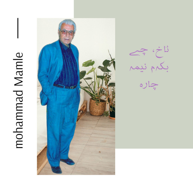 ئاخ چی بکەم نیمە چارە cover art
