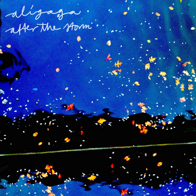 After the Storm cover