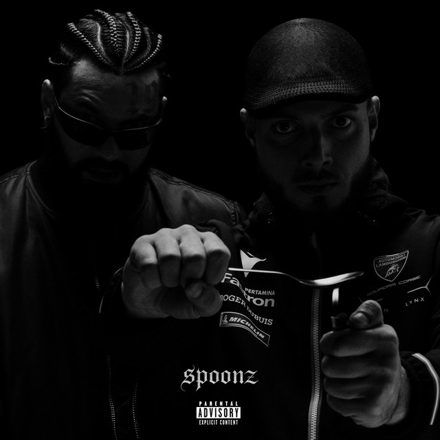 Spoonz cover art