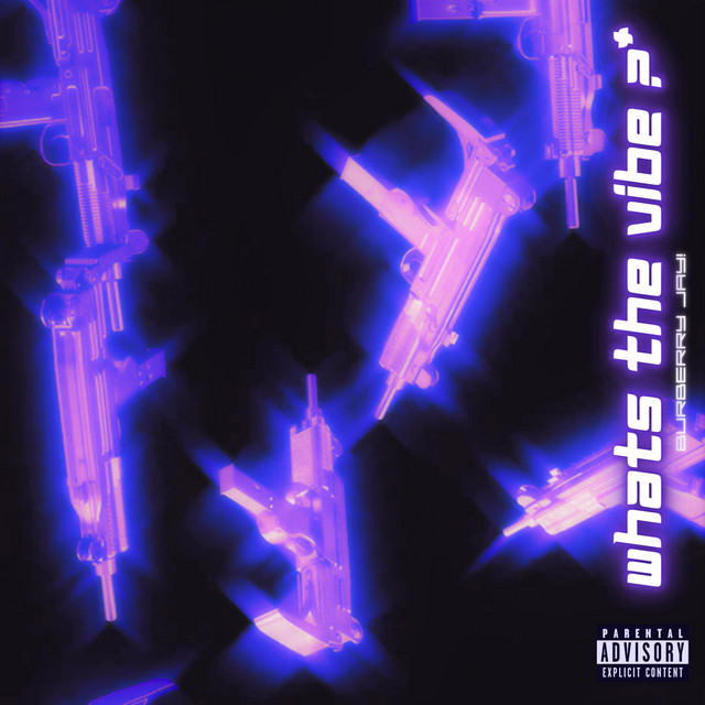 WHATS THE V!BE ?* cover art