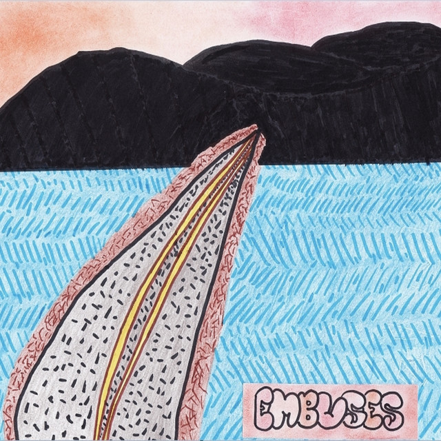 Embuses cover