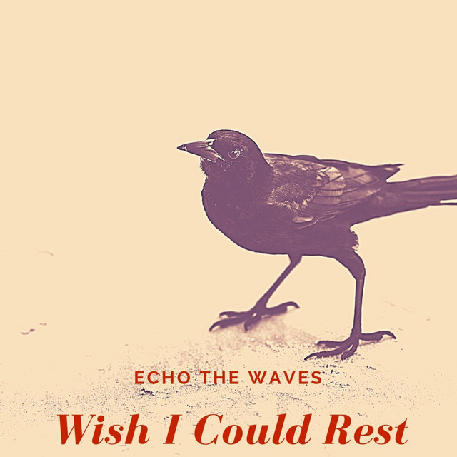 Echo the Waves | Spotify