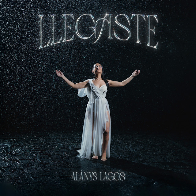 Llegaste