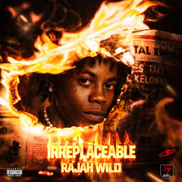 Irreplaceable cover art