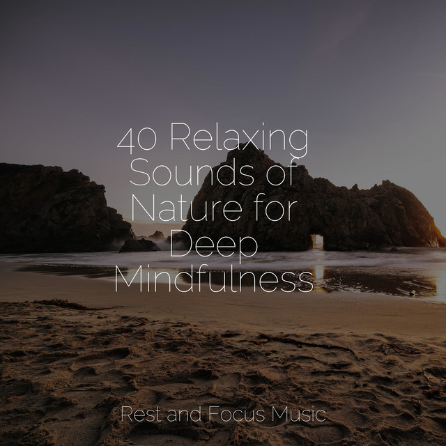 40 Relaxing Sounds of Nature for Deep Mindfulness - Album by Yoga ...