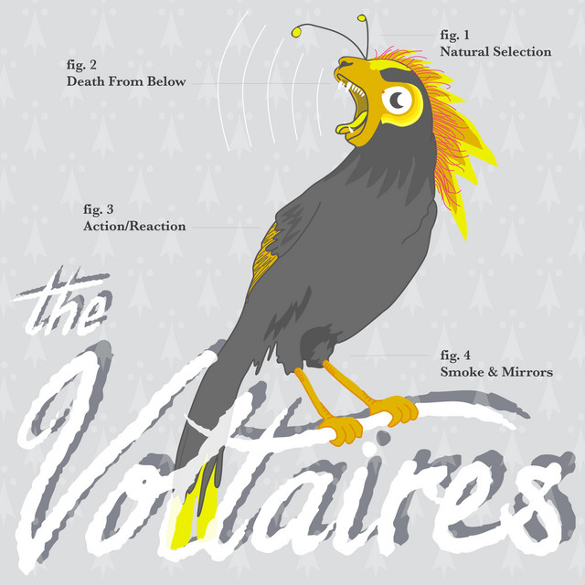 Natural Selection cover