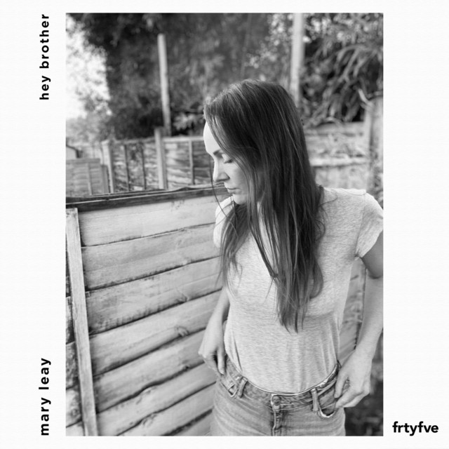 Hey Brother cover