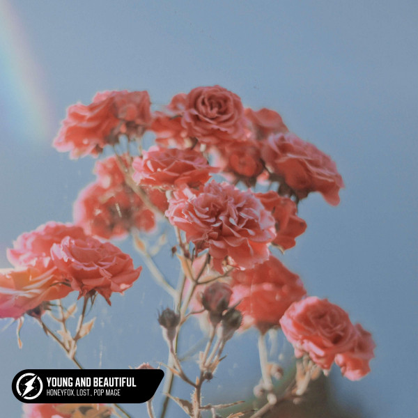 Young And Beautiful (Acoustic) cover art