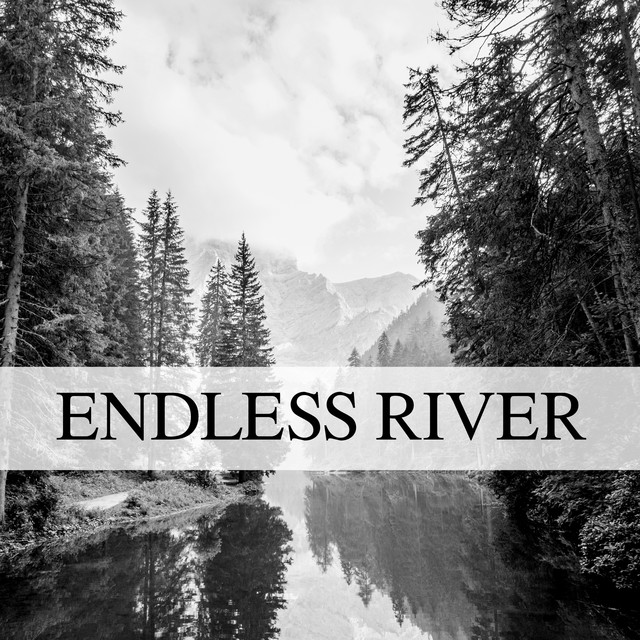 Endless River cover art
