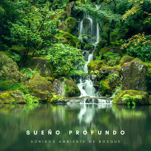 Sueño Profundo: Sonidos Ambiente De Bosque cover art