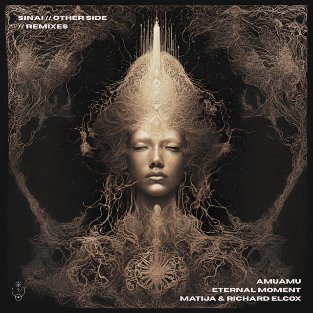 Other Side Remixes cover art