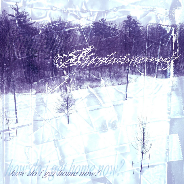 How Do I Get Home Now? cover art