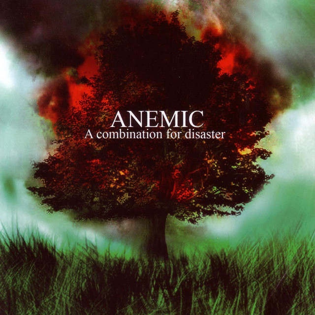 A Combination For Disaster cover art