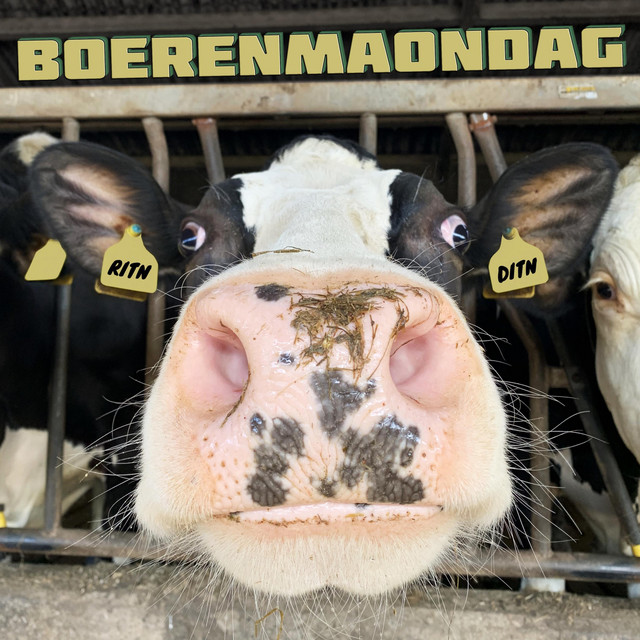 Boerenmaondag cover
