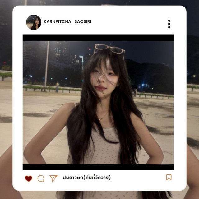 ฝนดาวตก(คืนที่จืดจาง) cover art