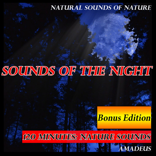 Sounds of the Night: Natural Sounds of Nature: Bonus Edition cover art