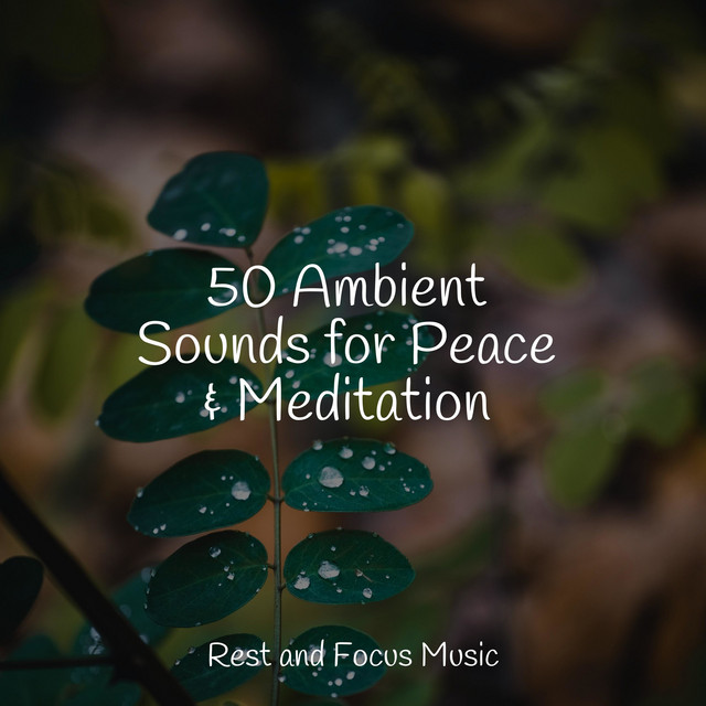 50 Ambient Sounds for Peace & Meditation - Album by Chakra Meditation ...