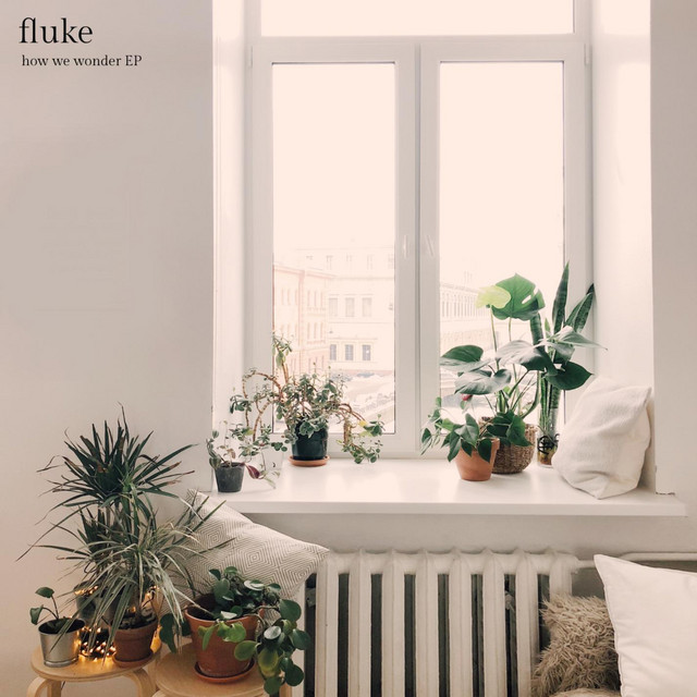 Fluke