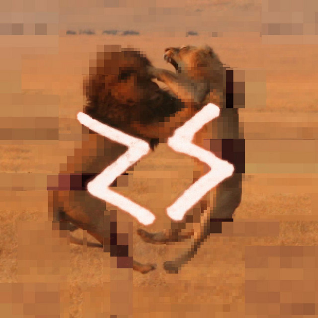 A N G E L S + A N I M A L S cover art