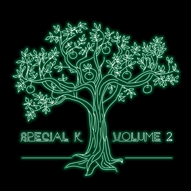 Special K, Vol. 2 cover art