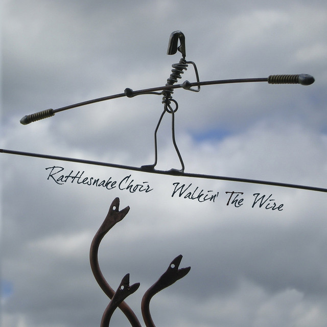 Walkin' the Wire cover
