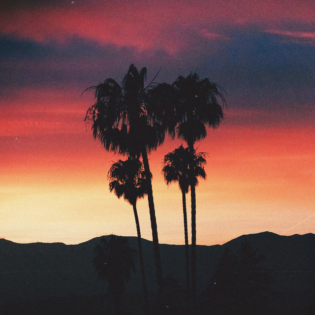 lost nights