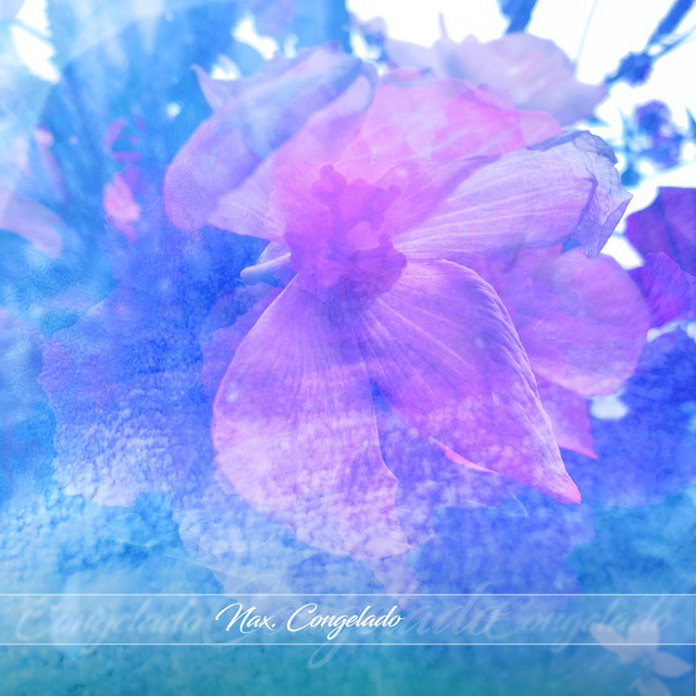 Congelado cover art