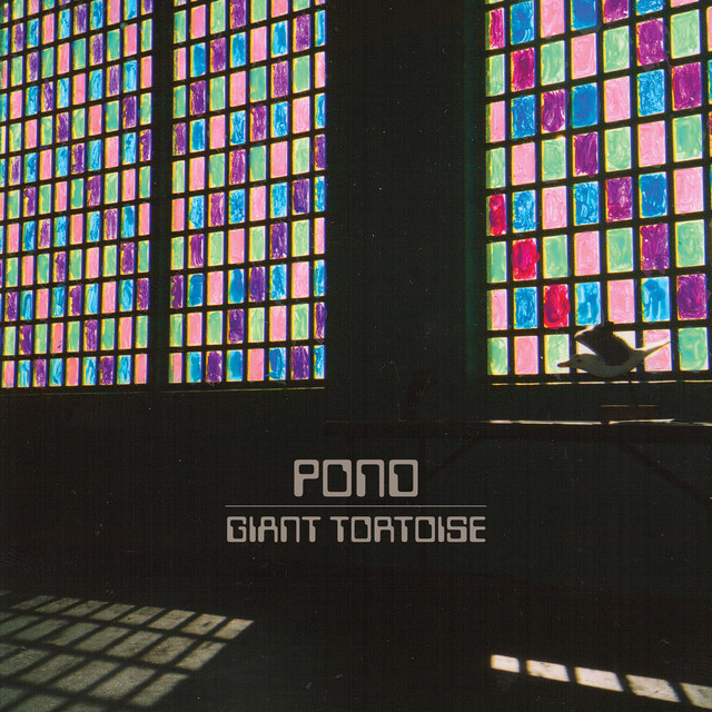 Giant Tortoise by Pond