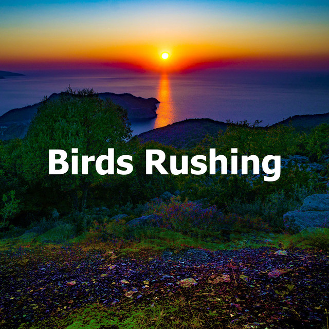 Birds Rushing - Album by Sons Da Natureza | Spotify