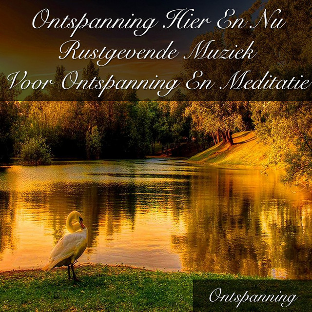 Ontspanning Hier En Nu Rustgevende Muziek Voor Ontspanning En Meditatie cover art