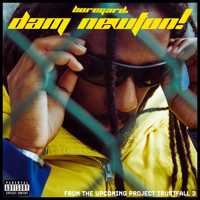 DAM NEWTON! cover art