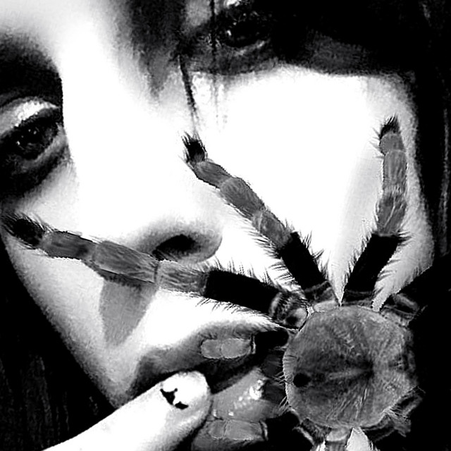 Phobia cover art