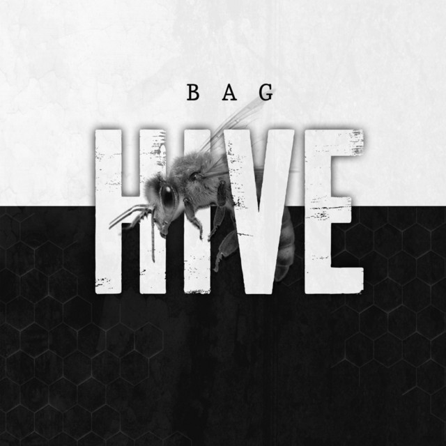 Hive cover art