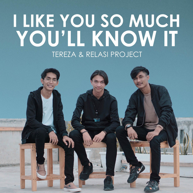 I Like You So Much, You’ll Know It - Acoustic