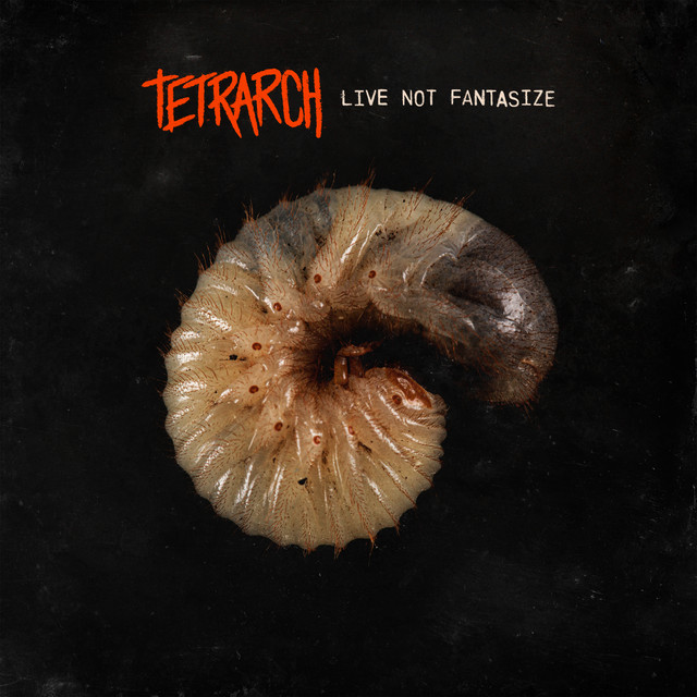 Live Not Fantasize cover art