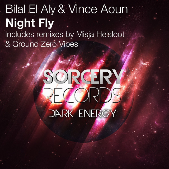 Night Fly - Original Mix cover art