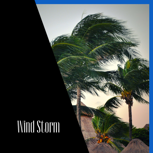 Wind Storm cover art