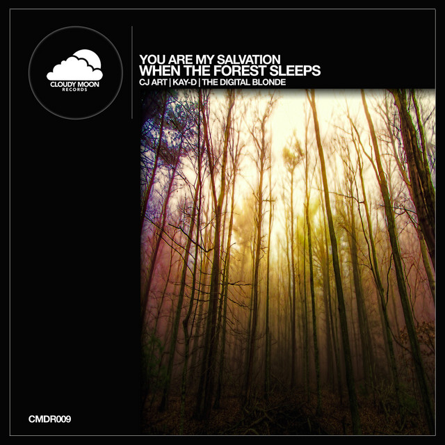 When the Forest Sleeps cover art