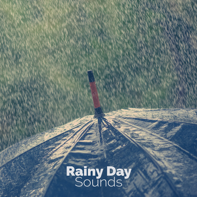 Rainy Day Sounds cover art