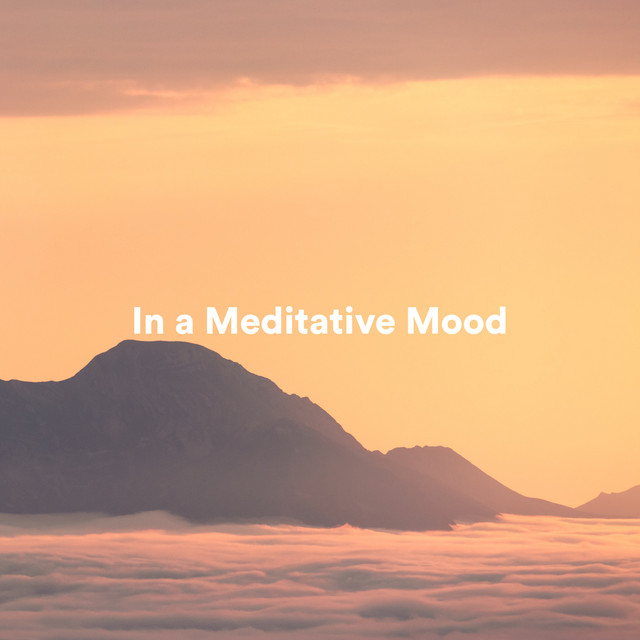 In a Meditative Mood cover art