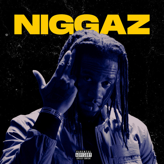 Niggaz cover art