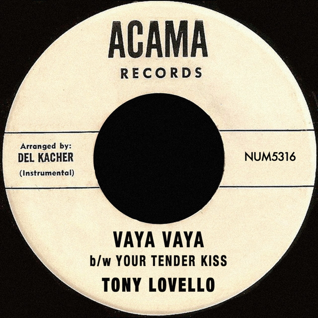 Vaya Vaya b/w Your Tender Kiss