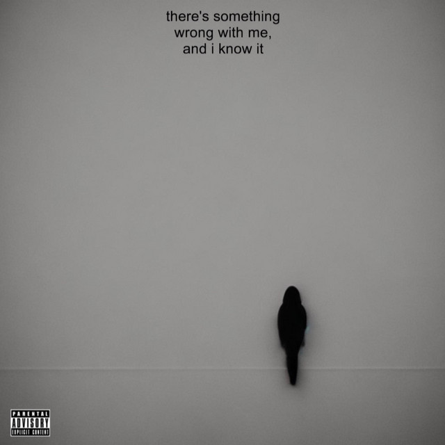 there's sømething wrøng with me, and i knøw it cover art