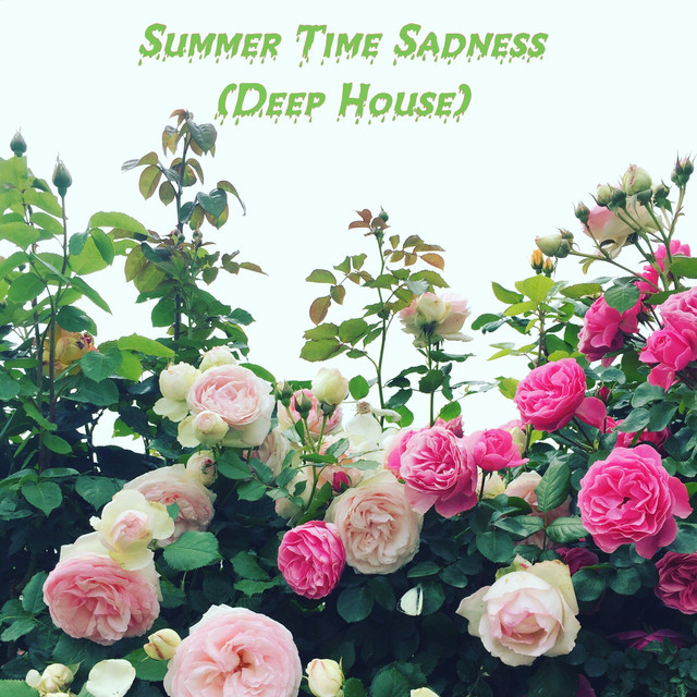 Summertime Sadness (Deep House)