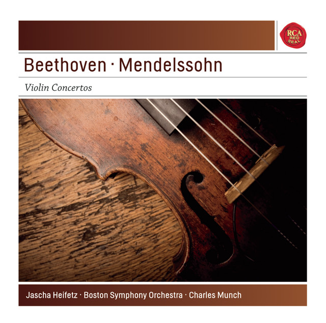 Violin Concerto in D Major, Op. 61: II. Larghetto