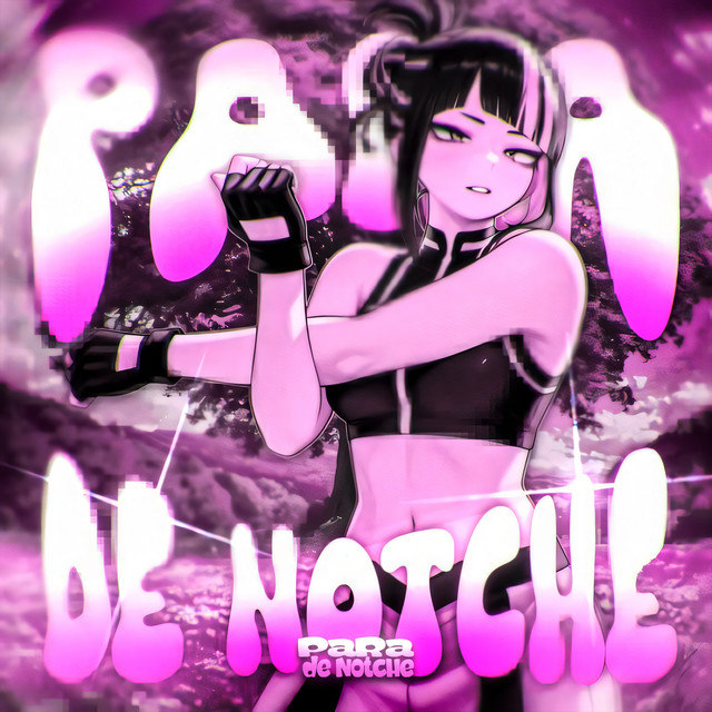 PARA DE NOTCHE