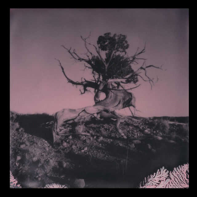 Una Secta Basada en Ti cover art