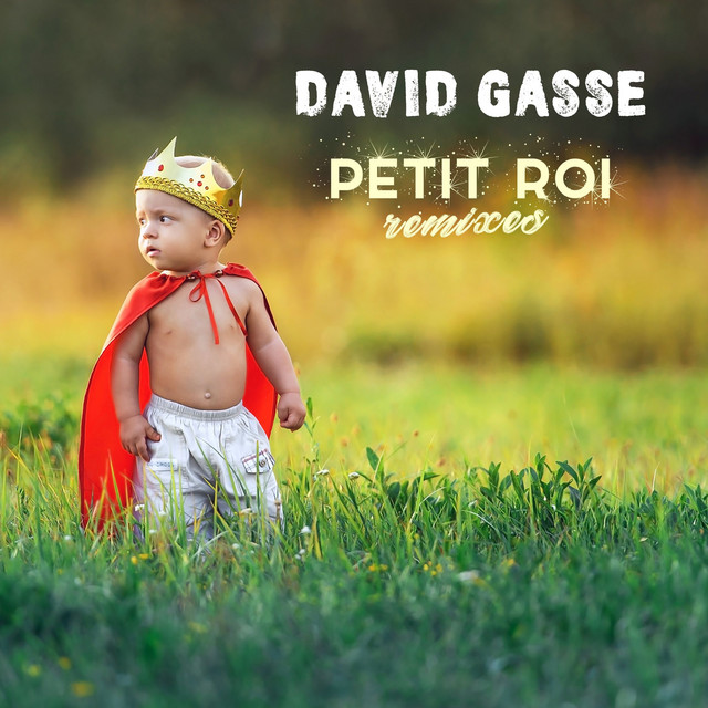 Petit Roi (Remixes) cover