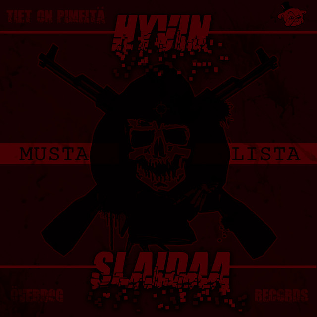 Hyvin slaidaa