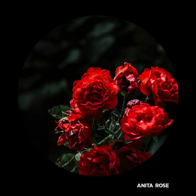 red roses cover art